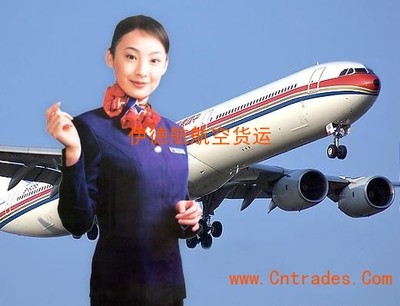 國(guó)際物流到門派送廣東省空運(yùn)到日本稻城市航空直線快遞